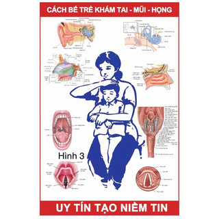 Tranh giải phẫu tai mũi họng, bệnh lý tai mũi họng thường gặp, Tranh phòng khám, bệnh viện nhi.