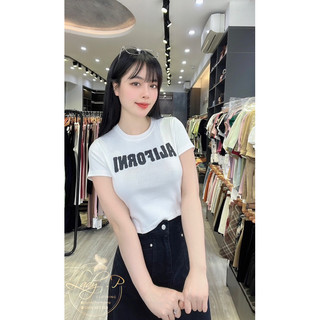 Áo thun dáng croptop basic - LADY.Clothing