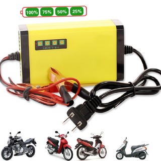 Máy Sạc Bình Ắc Quy Tự Động 12V - 2V