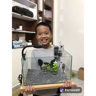 Bể cá cảnh để bàn trọn bộ ktd30xr18xc18 cm. hồ cá thủy sinh