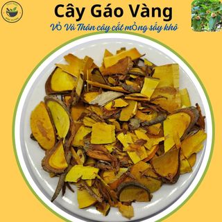 Cây gáo vàng - vỏ và thân cây, loại khô, túi 500g & 1kg.