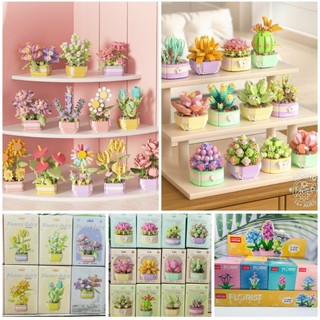 Ráp hình chậu hoa, đồ chơi xếp hình xương rồng, lắp ráp cây hoa dễ thương, xếp hình chậu cây, mảnh ghép hình cây hoa