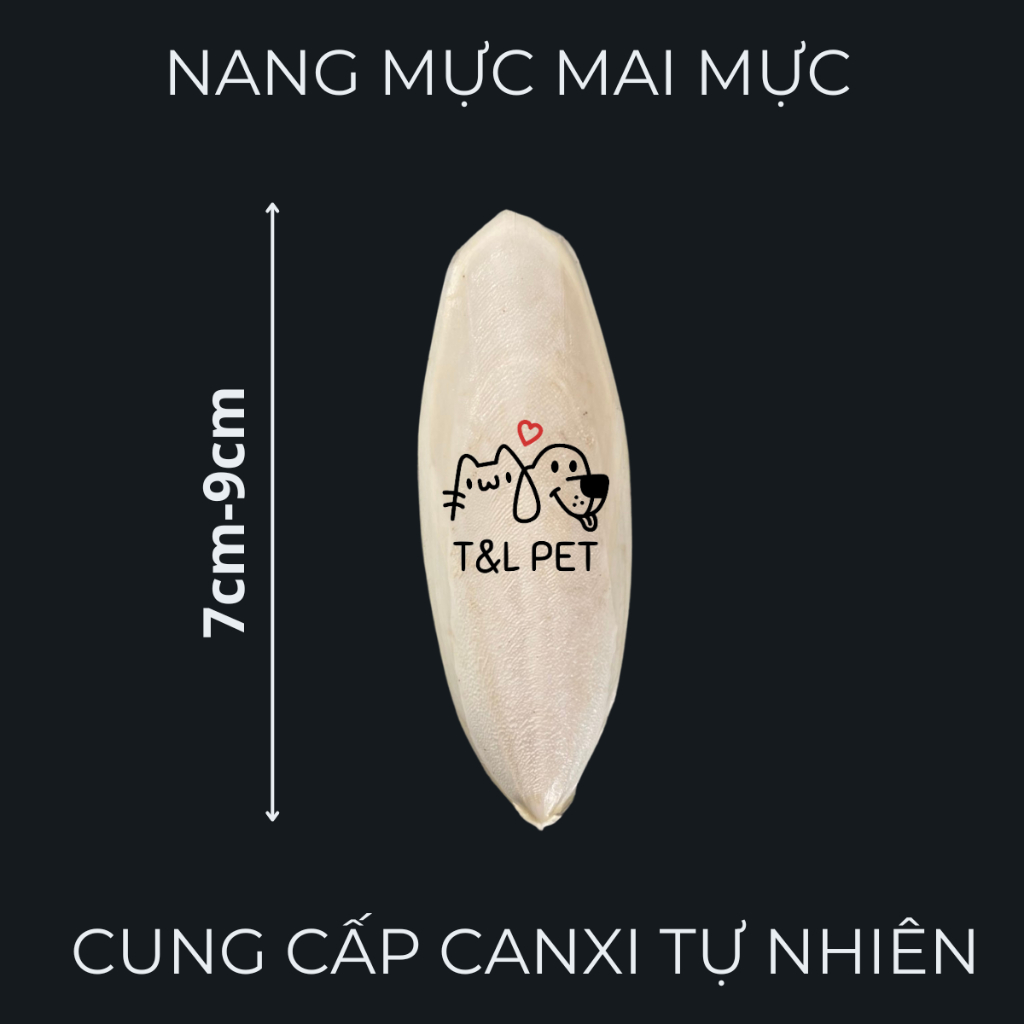 1 cái nang mực xương mực size 7-9 cm làm thức ăn cho ipos chim cảnh bò sát