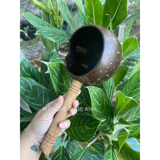 Gáo mút nước gỗ dừa loại có mỏ. Size lớn miệng rộng 13-14cm