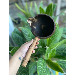 Gáo mút nước gỗ dừa loại có mỏ. Size lớn miệng rộng 13-14cm