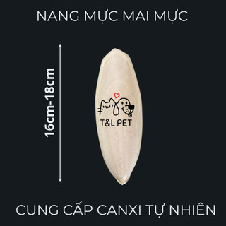 1 cái nan mực xương mực mai mực cao cấp nguyên vẹn size lớn 16-18cm làm thức ăn cho isppod chim cảnh bò sát