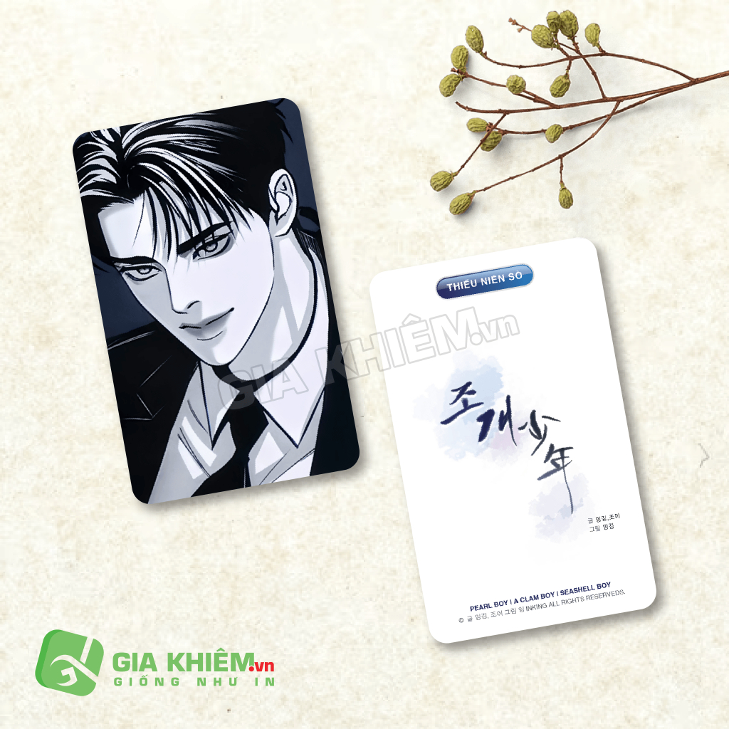 Card bo góc giấy truyện THIẾU NIÊN SÒ PEAL BOY