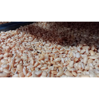 Bột Mầm Đậu Nành nguyên chất