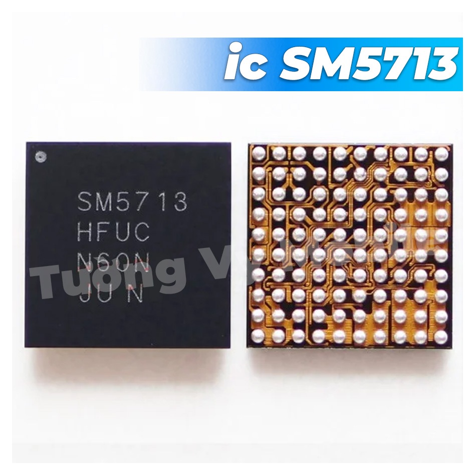 ic  SM5713