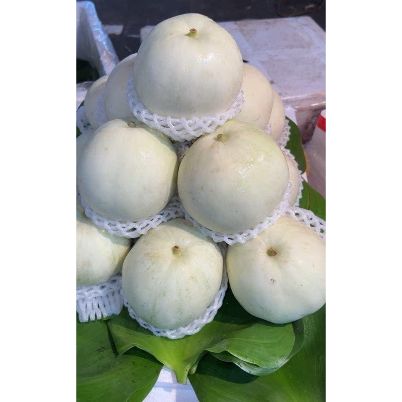 dưa lê tiền giang