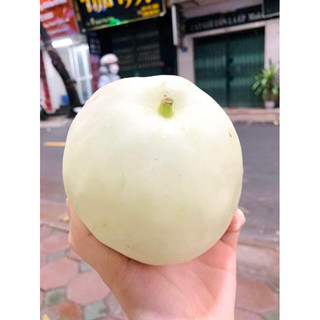 dưa lê tiền giang