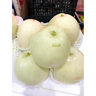 dưa lê tiền giang