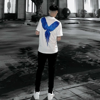 Áo Thun in Cánh Chim có Hộp 📦 Nam, Nữ Cánh Chim Xanh Dương - Áo Thun Cotton Tay Ngắn hottrend 2024 chất cotton caocap