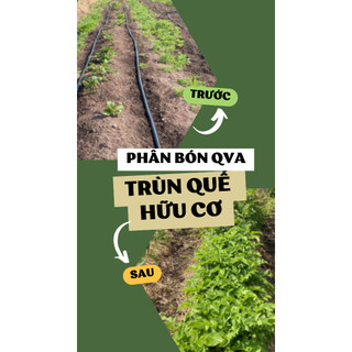 Phân trùn quế nguyên chất QVA - 100% hữu cơ - (500g-5kg)