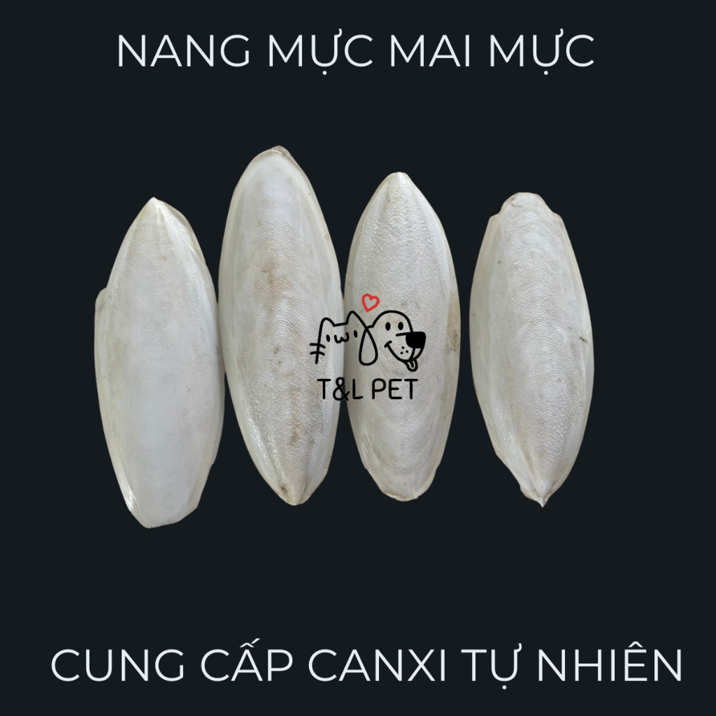 100 gram Nang mực mai mực cung cấp canxi cho chim đóng túi