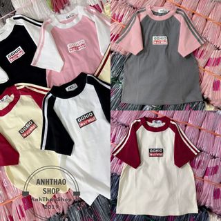 Áo thun nữ ôm body cổ tròn tay ngắn raglan, áo thun nữ phom babytee tay raglan. Áo thun borip dáng ôm body phối tay AH