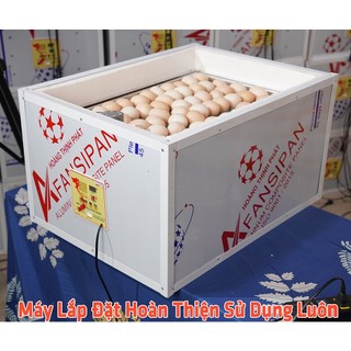 Máy Ấp Trứng Tự Động Vỏ Nhôm 60 Trứng, Máy Ấp Trứng Tuyên Quang