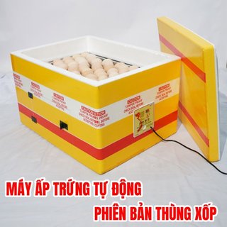 Máy ấp trứng thùng xốp tự động 60 trứng. máy ấp trứng tuyên quang