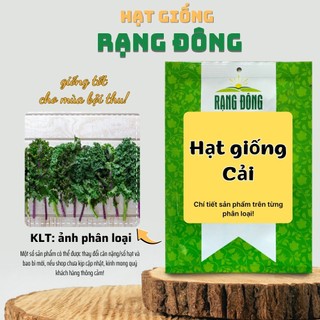 Hạt giống Cải nảy mầm tốt, sinh trưởng khỏe, nhanh thu hoạch, trồng quanh năm - Hạt giống Rạng Đông