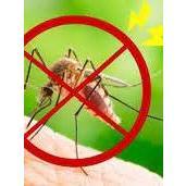 (1 lít ) Thuốc diệt muỗi, ruồi, côn trùng  MAP PERMETHRIN 50EC