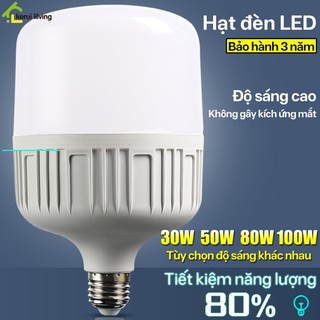 Bóng đèn siêu sáng tiết kiệm năng lượng SALAY, bóng đèn công suất lớn tiết kiệm điện, bóng đèn led