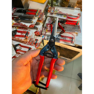 Kéo tỉa cây, kéo cắt cây Chikamasa T55C