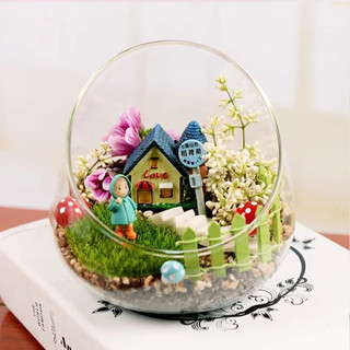 Chậu cây thủy tinh, chậu trồng sen đá, tiểu cảnh/ trụ vát miệng nhỏ xinh dùng decor, trồng terrarium
