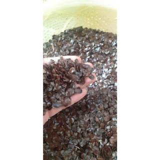 500 gram hạt muồng đen giống