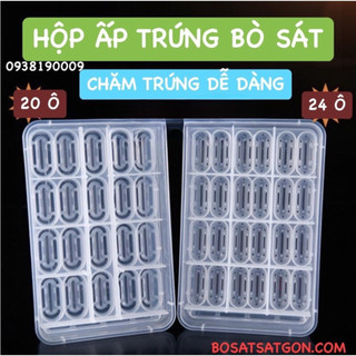 Hộp ấp trứng thằn lằn gecko, rồng úc beared dragon, bò sát nhỏ, ... giá rẻ, ship cấp tốc.