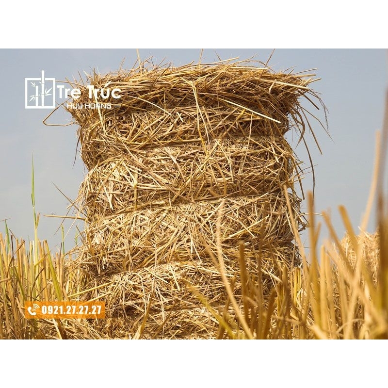 Phân rơm cuộn hữu cơ