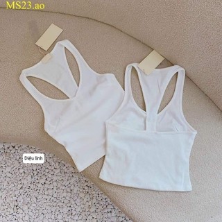 áo thun body