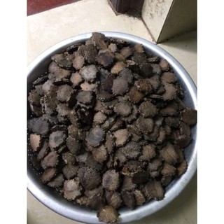Hạt gấc rang sẵn, hạt gấc khô