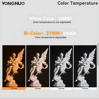 Đèn LED Cầm Tay YONGNUO YNlux 100 Combo, YNLUX 200 Combo