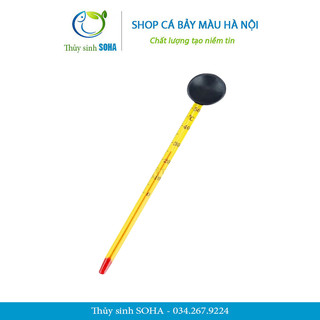 Nhiệt kế thủy ngân đo nhiệt độ nước bể cá cảnh
