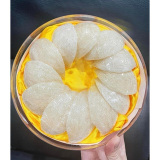 Tổ yến sào rút lông định hình cao cấp A5 xuất khẩu tặng táo đỏ, hạt chia, đường phèn
