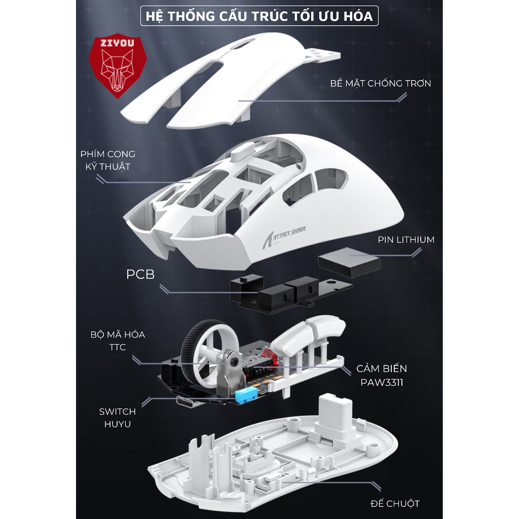 Chuột Gaming Không Dây Ziyou Attack Shark R1 Siêu Nhẹ Chip Paw3311 Có App và 3 Chế Độ Kết Nối Bluetooth/ Wireless/ TypeC | BigBuy360 - bigbuy360.vn
