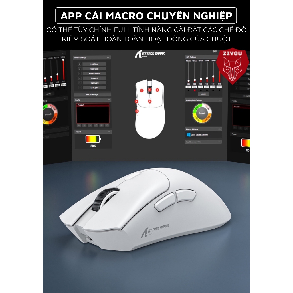Chuột Gaming Không Dây Ziyou Attack Shark R1 Siêu Nhẹ Chip Paw3311 Có App và 3 Chế Độ Kết Nối Bluetooth/ Wireless/ TypeC | BigBuy360 - bigbuy360.vn