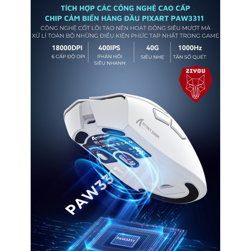 Chuột Gaming Không Dây Ziyou Attack Shark R1 Siêu Nhẹ Chip Paw3311 Có App và 3 Chế Độ Kết Nối Bluetooth/ Wireless/ TypeC | BigBuy360 - bigbuy360.vn