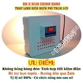 Máy ấp trứng mini 2024 bảo hành 2 năm