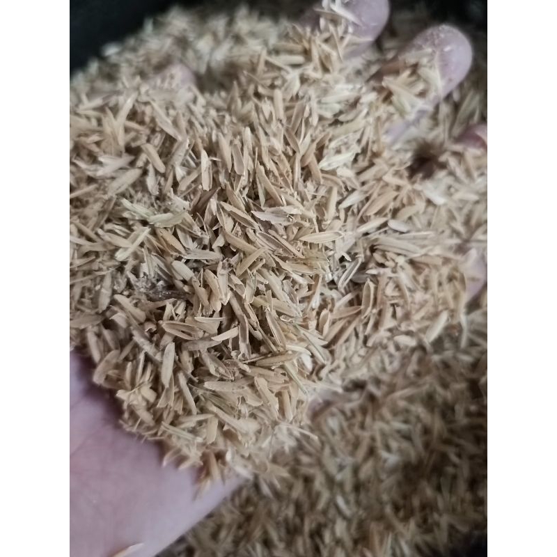 5 túi trấu tươi sạch làm trứng bắc thảo