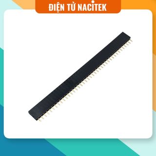 Rào cái đơn 40p