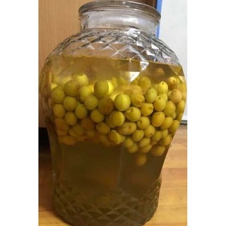 (1kg) mơ lông tây bắc