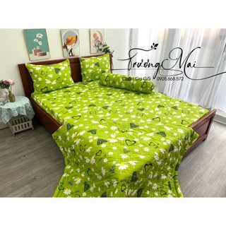 Chăn ga giường 100% coton  sét 5 món kèm chăn chần gòn.
