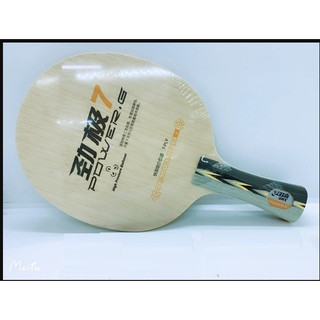 Cốt vợt DHS PG7