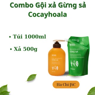 Combo Gội 1000ml Gừng sả và xả gừng sả 500g Cocayhoala.