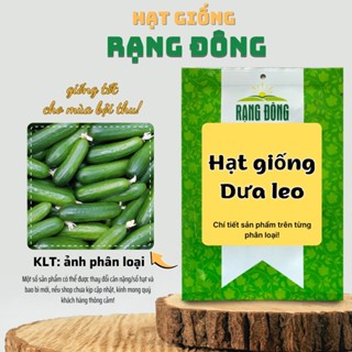  Hạt giống Dưa Leo nảy mầm tốt sinh trưởng khỏe trái sai trồng quanh năm - Hạt giống Rạng Đông 