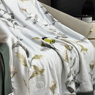 Chăn hè tencel kích thước 2m-2m3 chần bông kén tơ tằm cao cấp Hlhome bedding siêu mịn, thoáng mát