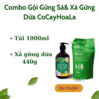 Combo Gội 1000ml Gừng sả và xả gừng dừa 440g cocayhoala.