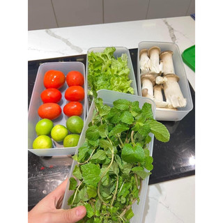 Hộp Bảo Quản Thực Phẩm 1.4L
