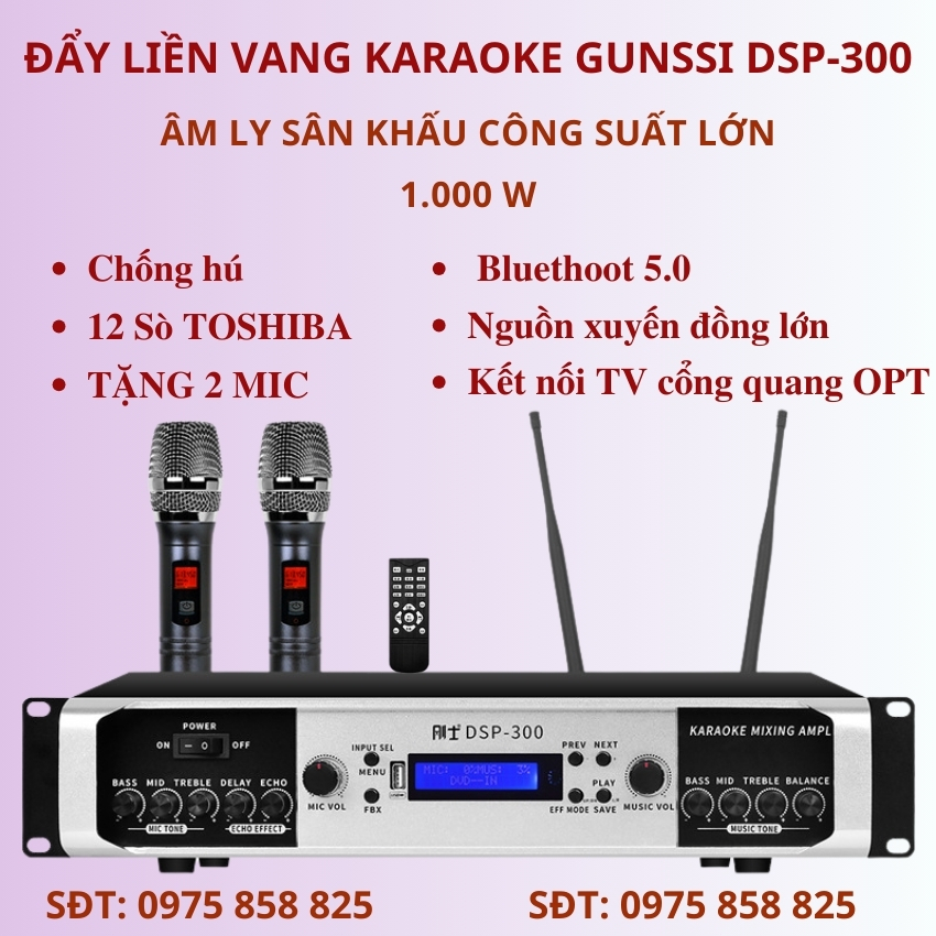Đẩy liền vang. Âm ly karaoke bluetooth Gunssi DSP 300. Amply công suất lớn 1000w